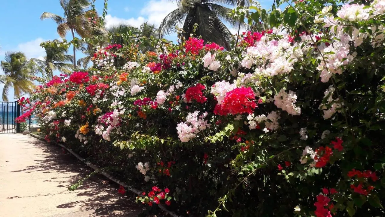 Διαμέρισμα Bonheur A La Residence Savane Le Gosier