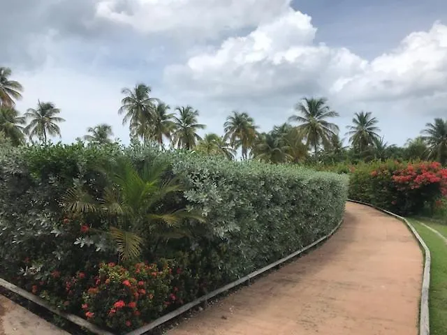 Bonheur A La Residence Savane Le Gosier  Διαμέρισμα